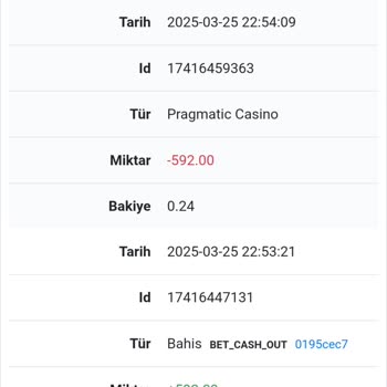 Onwin Sitesinde Beklenmedik Bakiye Sıfırlanması