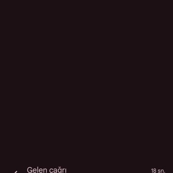 Sürekli Aramalarla Rahatsız Ediliyorum