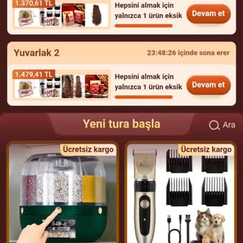 Temu Uygulamasında İlerlemeyen Ödül Sistemi