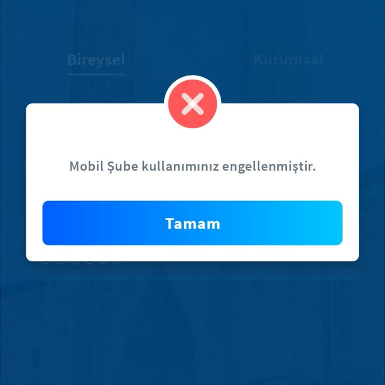 Halkbank Mobil Uygulama Erişim Sorunu Ve İletişim Eksikliği