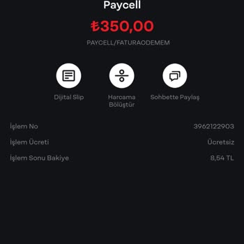 Faturasız Hatta Gizemli Borç: Paycell Ve Papara Sorunu