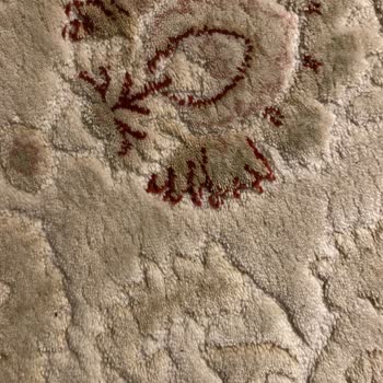 Halıda Gizlenmiş Saygısızlık: İnançlara Duyarsız Tasarım