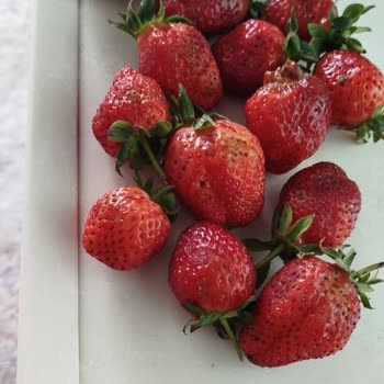 Çürük Çilekler Ve İade Sorunu