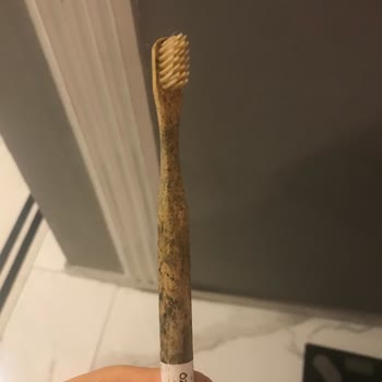 Bambu Diş Fırçası Küflenme Sorunu Ve İletişimsizlik