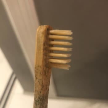 Bambu Diş Fırçası Küflenme Sorunu Ve İletişimsizlik