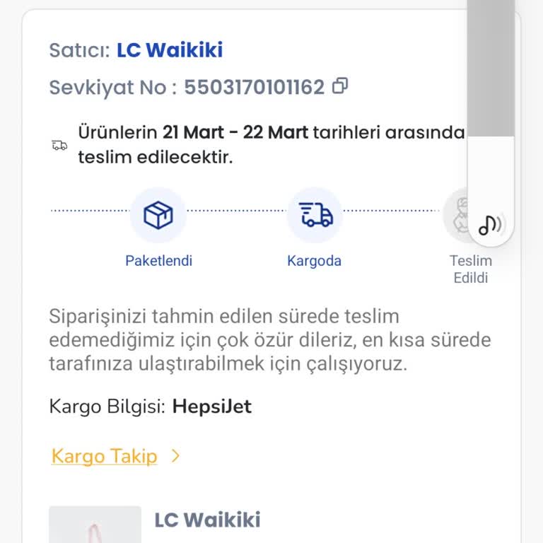 Teslimat Gecikmesi Ve Müşteri Hizmetleri Sorunu