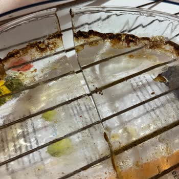 Üçel Glass Brart Ürün Kalitesizliği