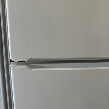 My Siemens Fridge Rusted and Grew Mold in 5 Years Despite Proper Use