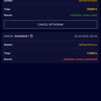 Ödeme Sürecinde Yaşanan Gecikmeler