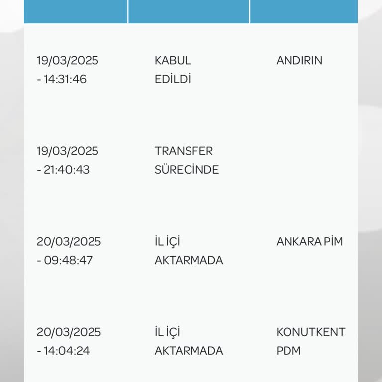 Acil Gönderim Sorunu: Kargo Teslimatında Gecikme