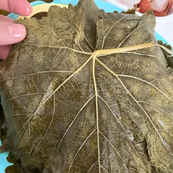 Görsel Ve Gerçek Arasında Kalan Müşteri: Yanıtsız Kalan Şikayet