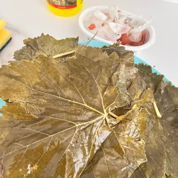 Görsel Ve Gerçek Arasında Kalan Müşteri: Yanıtsız Kalan Şikayet