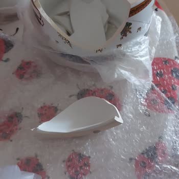 Kargo Firmasının Dikkatsizliği Mağduriyet Yarattı