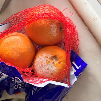 Migros'tan Sürekli Çürük Ürün Gönderimi Ve İlgisizlik