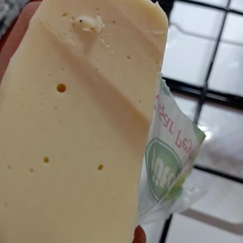 Sütaş Kaşar Peynirinde Şok Edici Yabancı Madde!