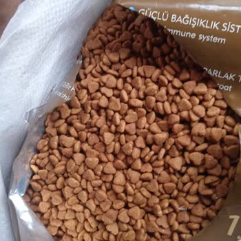 Kargo Ve Paketleme Sorunlarıyla Mücadele