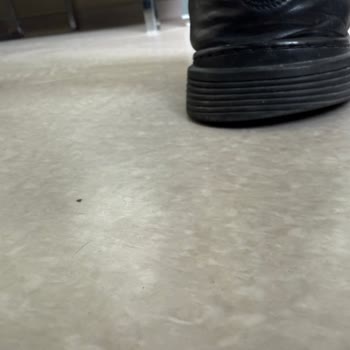 Dockers Ayakkabılarında Rahatsız Edici Taban Sorunu