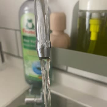 Hyundai Su Arıtma Cihazında Yosun Sorunu Ve Çözüm Arayışı