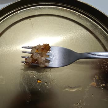 Şöregel Süt Ve Süt Ürünleri Şikayeti