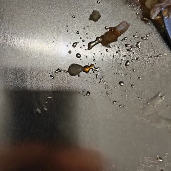 Şöregel Süt Ve Süt Ürünleri Şikayeti