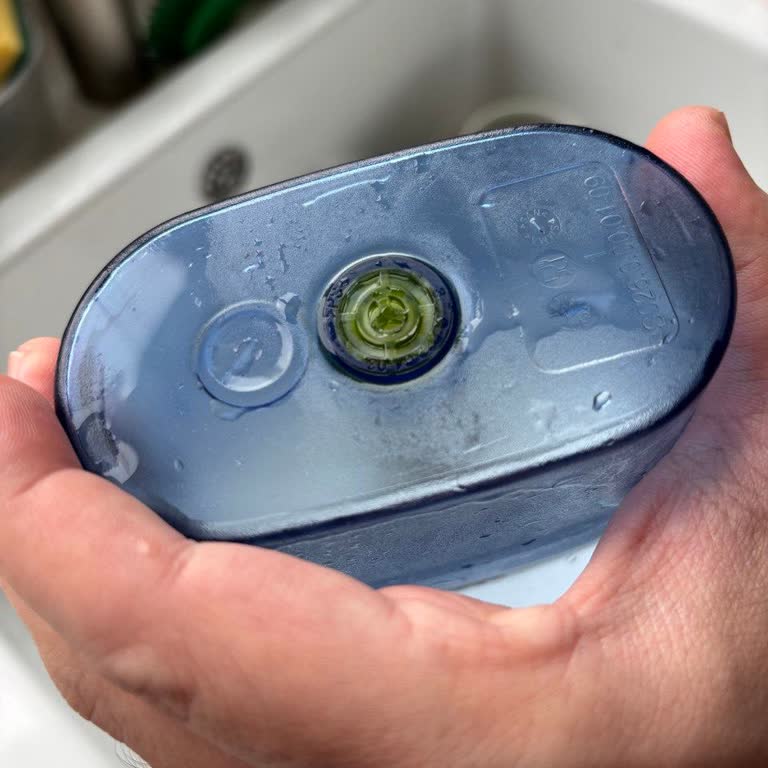 Brita Sürahisinde Yosun Sorunu: Çözüm Bekliyoruz