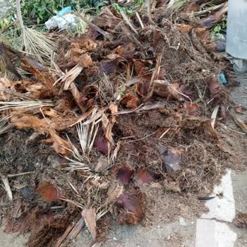 Belediyenin Çöp Ve Atık Yönetimi Konusundaki Çifte Standartları