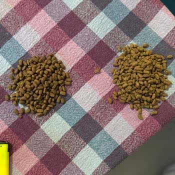 Paws & Pati Şüpheli Ürün Ve Geç Yanıt!