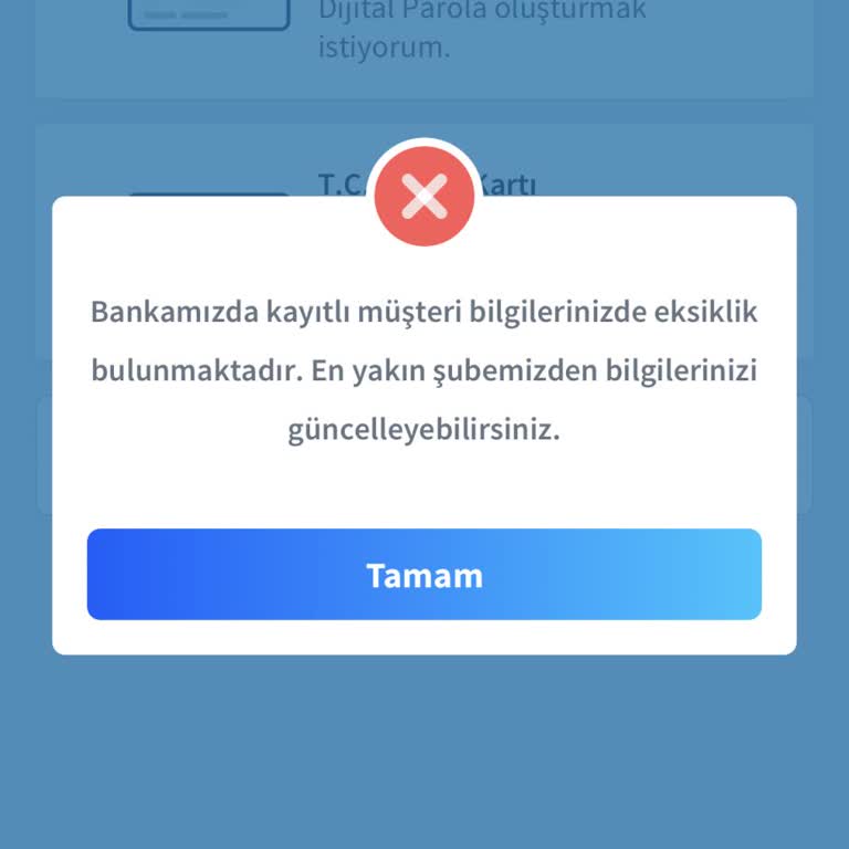 Halkbank Mobil Uygulama Giriş Sorunu Ve Bilgi Eksikliği
