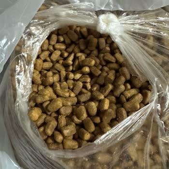 Sahte Kedi Maması Şoku