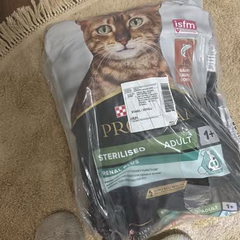 Sahte Kedi Maması Şoku