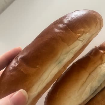 Son Kullanma Tarihi Geçmemiş Sandviç Ekmeğinde Küf Şoku