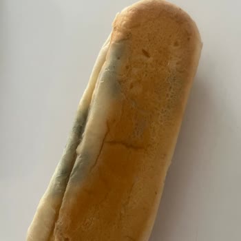 Taze Sandviç Ekmeği Hayal Kırıklığı