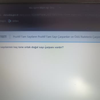 Ödenen Ücretin Karşılığı: Ücretsiz İçerik!