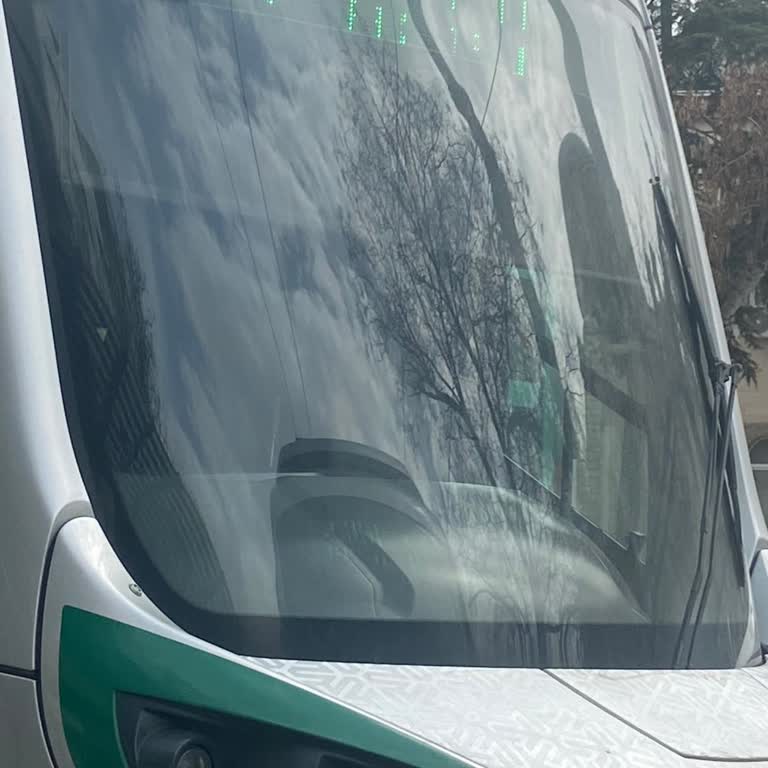 Tramvay Şoförünün Duyarsız Davranışı İşimi Aksattı