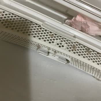 Bakım Sonrası Kirli Gelen Bosch Kurutma Makinesi Şoku