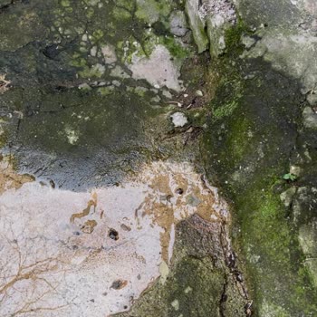 İSKİ Feriköy'de Hizmet Alamama Sorunu