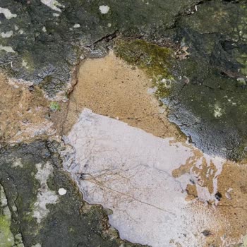 İSKİ Feriköy'de Hizmet Alamama Sorunu