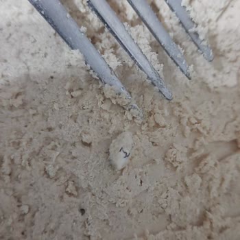 Helva İçindeki Yabancı Cisim Şoku