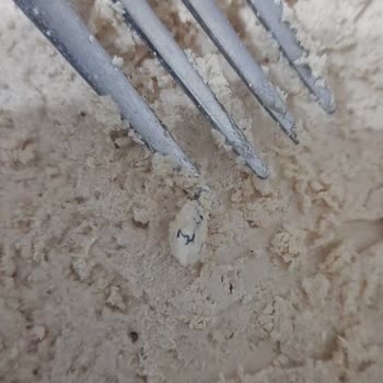 Helva İçindeki Yabancı Cisim Şoku