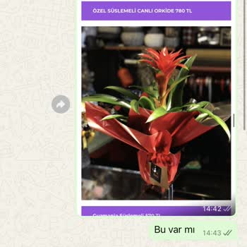 Sipariş Verdim, Ne Ürün Var Ne Cevap