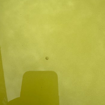 Peugeot 208 Boya Sorunu Ve Değer Kaybı Endişesi