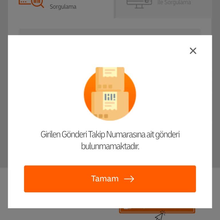 Kargo Takip Numarası Sorunu