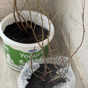 Yanlış Ve Hasarlı Ürün Teslimatı