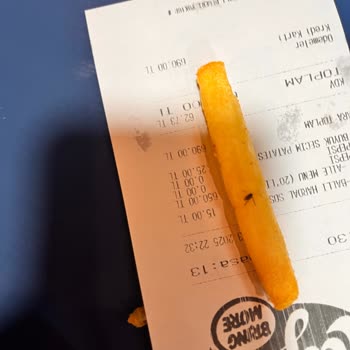 Kızarmış Ürünlerde Böcek Şoku