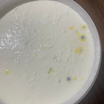 Küflü Yoğurt Şoku: Güven Sarsan Deneyim