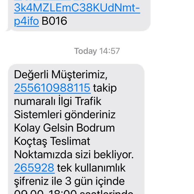 Yanlış Teslimat Noktası: Hız Kesici Siparişim Nerede?