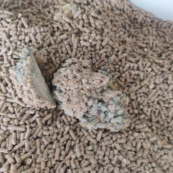 Küflü Yem Ve Plastik Sürprizi