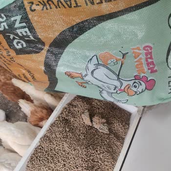 Küflü Yem Ve Plastik Sürprizi