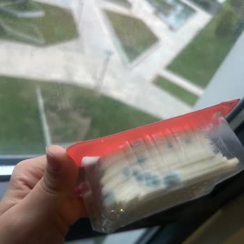 Açılmamış Kaşar Peynir Buzdolabında Küflendi