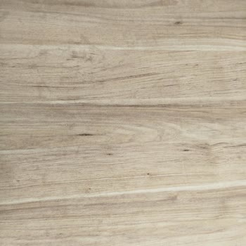 İstikbal Güvencesi: Mutfak Masasında Beklenmedik Hayal Kırıklığı